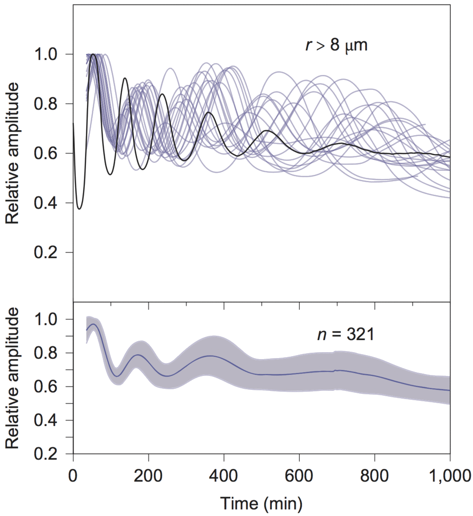 Weitz, et al. image