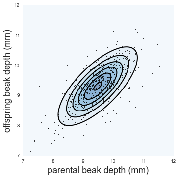 Contour plot